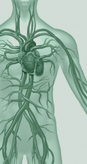 EuroEcho-Imaging 2018